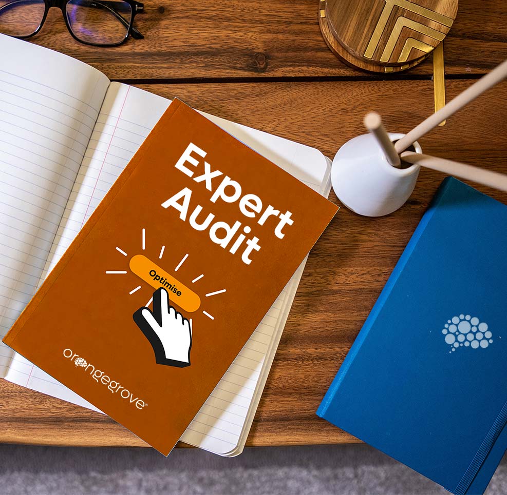 Expert audit